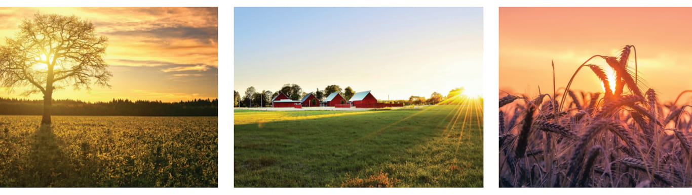 Scenic images of sunsets across rural fields. 